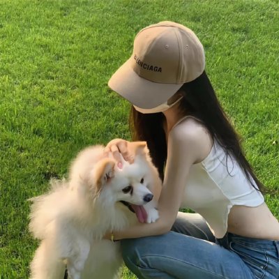 认识狗狗